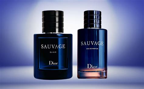 sa vage dior|dior sauvage vs elixir.